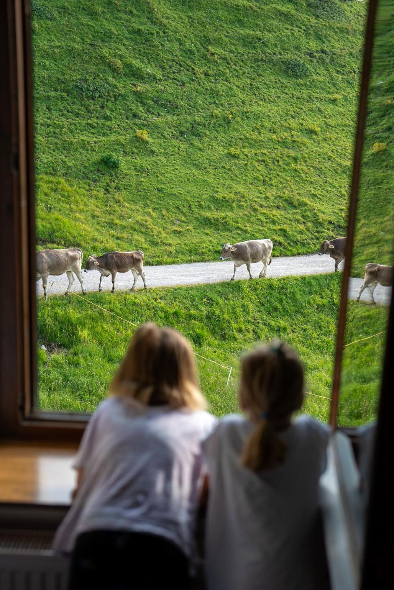 Hotel Alpen Arnika Tauplitzalm 외부 사진